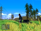 ENB Auto Focus DOF