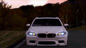 BMW M5 F10