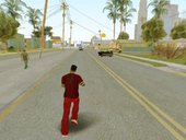 GTA V Camera View