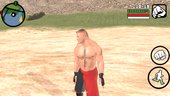 WWE BROCK LESNER HD