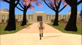 Sakura Blossom Anywhere