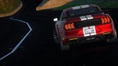 2019 Ford Mustang Shelby GT500