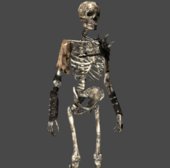 Jack of Blades And Skeleto Armor