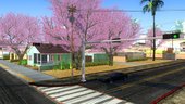 Cherry Trees 1.0