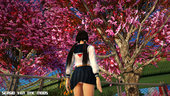Naotora Li - Sailor School