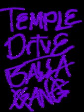 Replace Gang Tags for Android