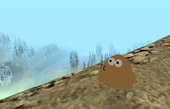 Pou