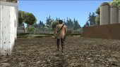 Jack Marston