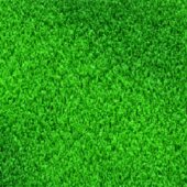 Sidewalk Grass for Mobile