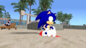 Sonic Adventure DX Sonic