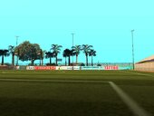 Copa America 2021 Stadium