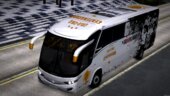 Bus Museo Centenario ColoColo