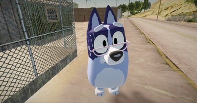 Chris Heeler