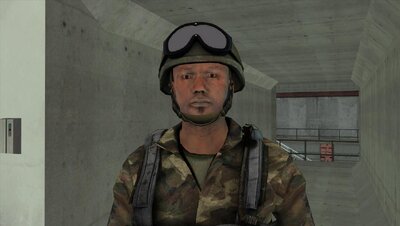 Woodland Army Skins
